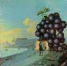 Moby Grape